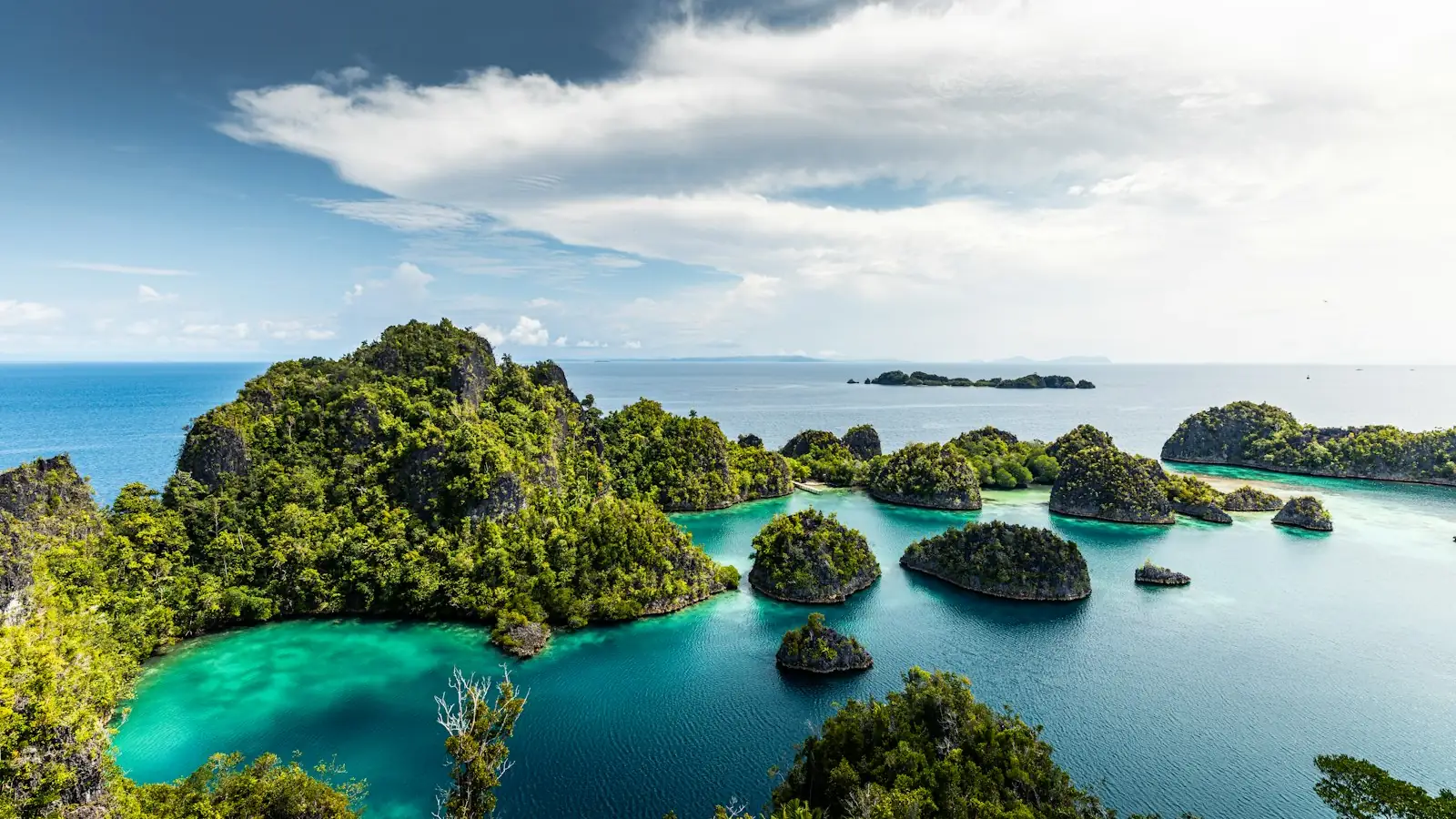 Raja Ampat Luxury Liveaboard — Raja Ampat